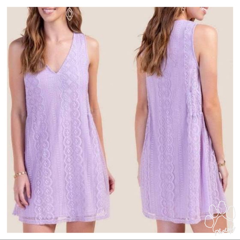NWT Francesca’s (Blue Rain) Lavender Lace Shift Dress M